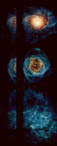 Иллюстрация к книге — Магия реальности. Как мы узнаем истину [i_096.jpg]