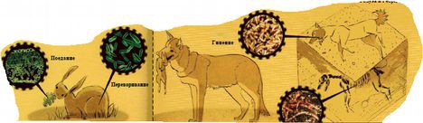 Иллюстрация к книге — Магия реальности. Как мы узнаем истину [i_102.jpg]