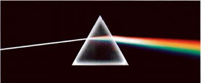 Иллюстрация к книге — Магия реальности. Как мы узнаем истину [i_119.jpg]