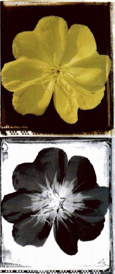 Иллюстрация к книге — Магия реальности. Как мы узнаем истину [i_126.jpg]