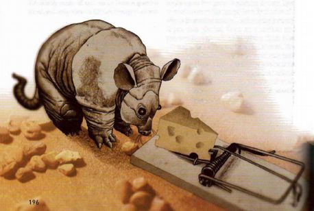 Иллюстрация к книге — Магия реальности. Как мы узнаем истину [i_153.jpg]