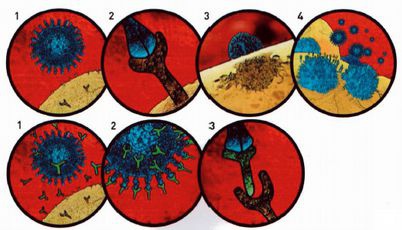 Иллюстрация к книге — Магия реальности. Как мы узнаем истину [i_194.jpg]