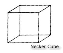 Иллюстрация к книге — Эгоистичный ген [necker_cub.jpg]