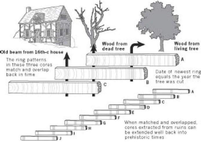 Иллюстрация к книге — Самое грандиозное шоу на Земле. Доказательства эволюции [i_010.jpg]