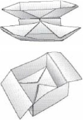 Иллюстрация к книге — Самое грандиозное шоу на Земле. Доказательства эволюции [i_045.jpg]