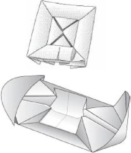 Иллюстрация к книге — Самое грандиозное шоу на Земле. Доказательства эволюции [i_046.jpg]