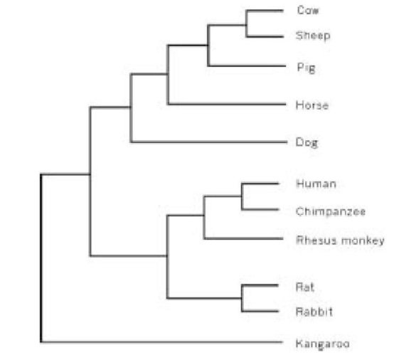 Иллюстрация к книге — Самое грандиозное шоу на Земле. Доказательства эволюции [i_073.jpg]