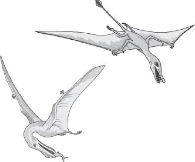 Иллюстрация к книге — Самое грандиозное шоу на Земле. Доказательства эволюции [i_078.jpg]