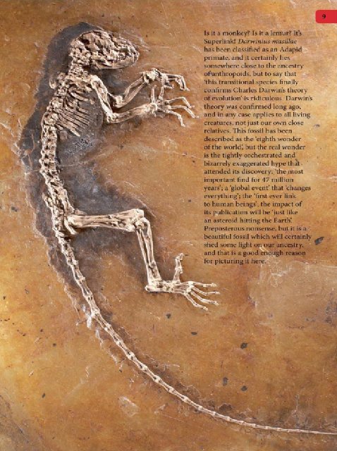 Иллюстрация к книге — Самое грандиозное шоу на Земле. Доказательства эволюции [i_096.jpg]