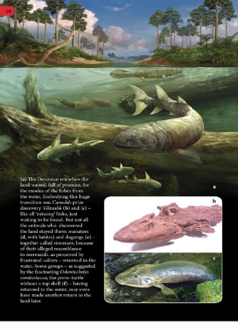 Иллюстрация к книге — Самое грандиозное шоу на Земле. Доказательства эволюции [i_097.jpg]