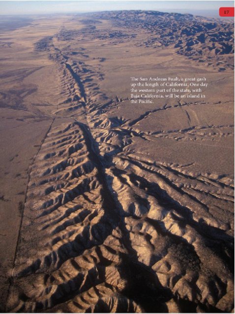 Иллюстрация к книге — Самое грандиозное шоу на Земле. Доказательства эволюции [i_104.jpg]