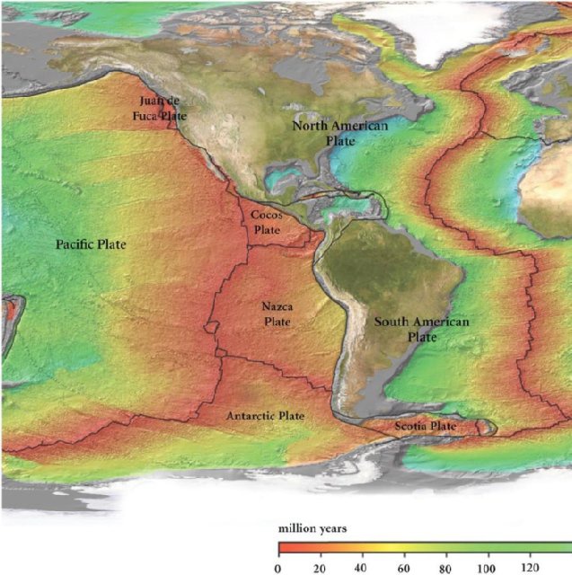 Иллюстрация к книге — Самое грандиозное шоу на Земле. Доказательства эволюции [i_105.jpg]