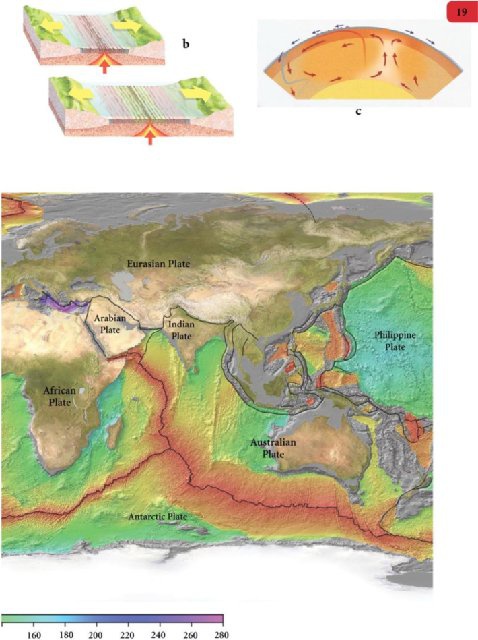 Иллюстрация к книге — Самое грандиозное шоу на Земле. Доказательства эволюции [i_106.jpg]