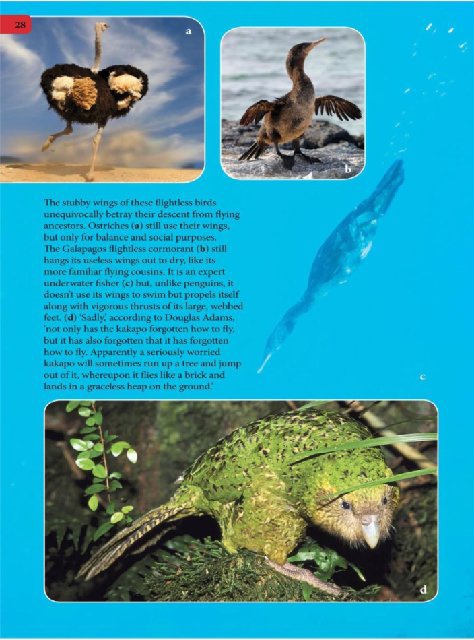 Иллюстрация к книге — Самое грандиозное шоу на Земле. Доказательства эволюции [i_115.jpg]