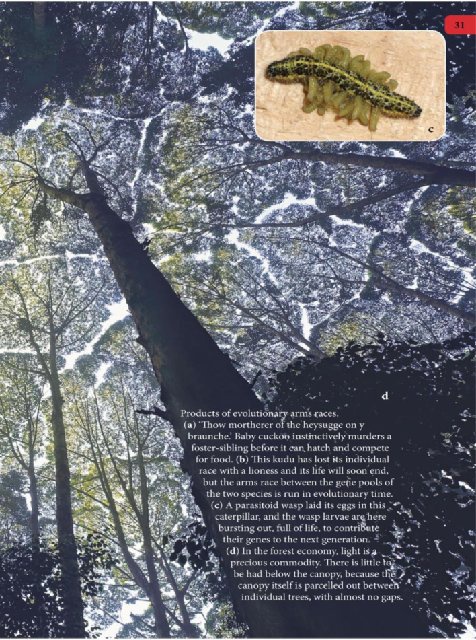 Иллюстрация к книге — Самое грандиозное шоу на Земле. Доказательства эволюции [i_118.jpg]