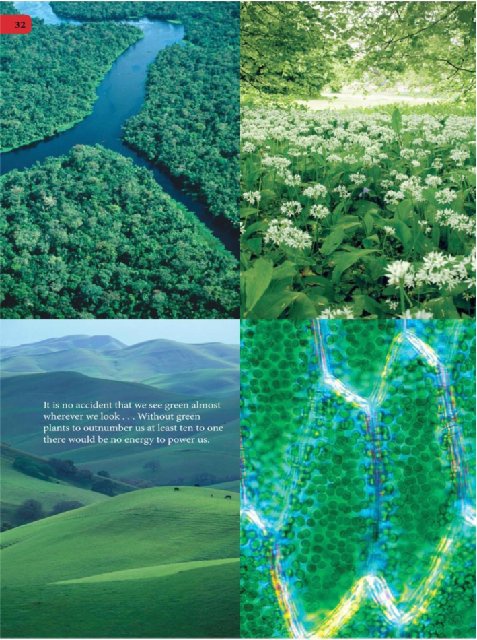 Иллюстрация к книге — Самое грандиозное шоу на Земле. Доказательства эволюции [i_119.jpg]