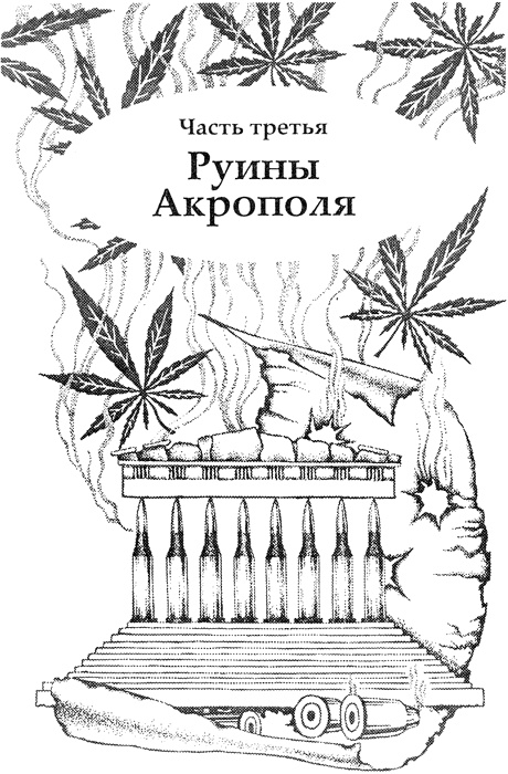 Иллюстрация к книге — Секрет ассасинов [img_03.jpg]