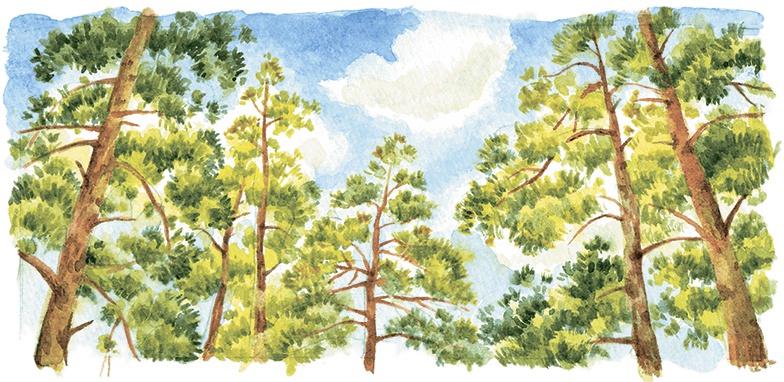 Иллюстрация к книге — Расмус-бродяга [i_028.jpg]