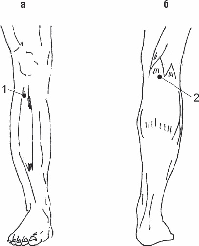 Иллюстрация к книге — Избавиться от боли за 30 секунд! Секретные точки здоровья. Тайны древнего Китая [_87.jpg]