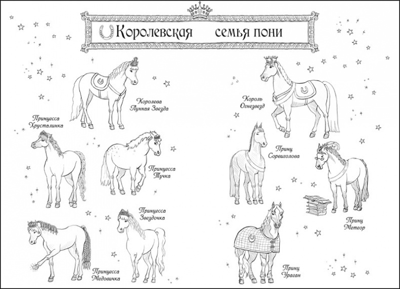 Иллюстрация к книге — Друг из Облачного леса [_006.jpg]