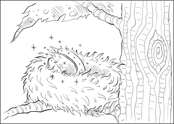 Иллюстрация к книге — Друг из Облачного леса [_072.jpg]