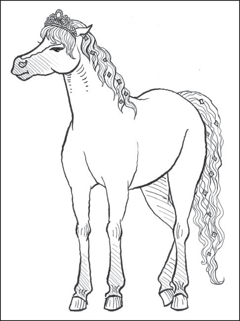 Иллюстрация к книге — Друг из Облачного леса [_157.jpg]