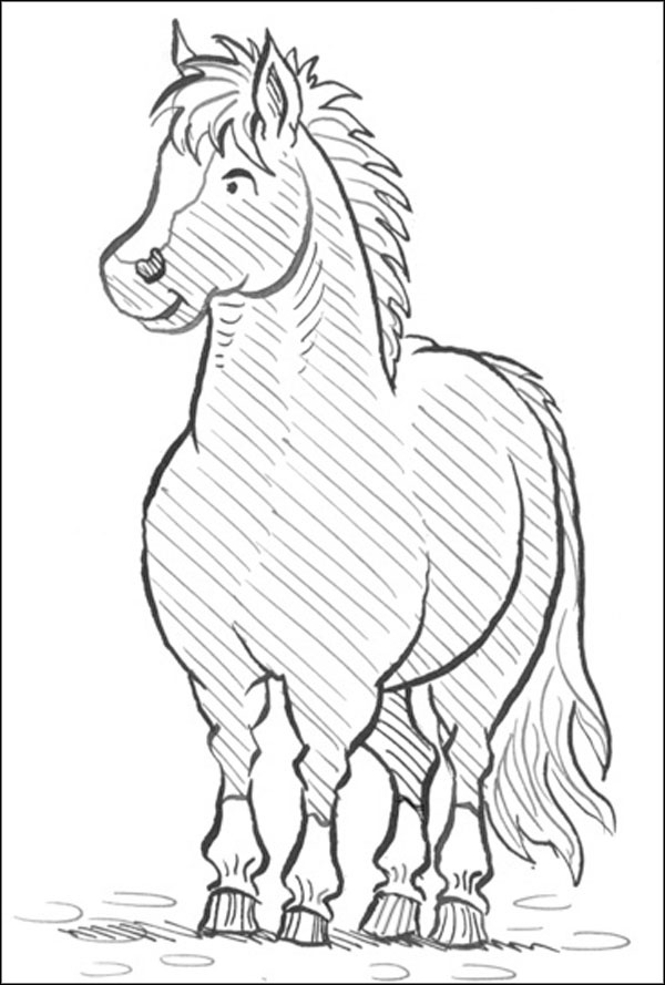 Иллюстрация к книге — Секрет для пони [_137.jpg]