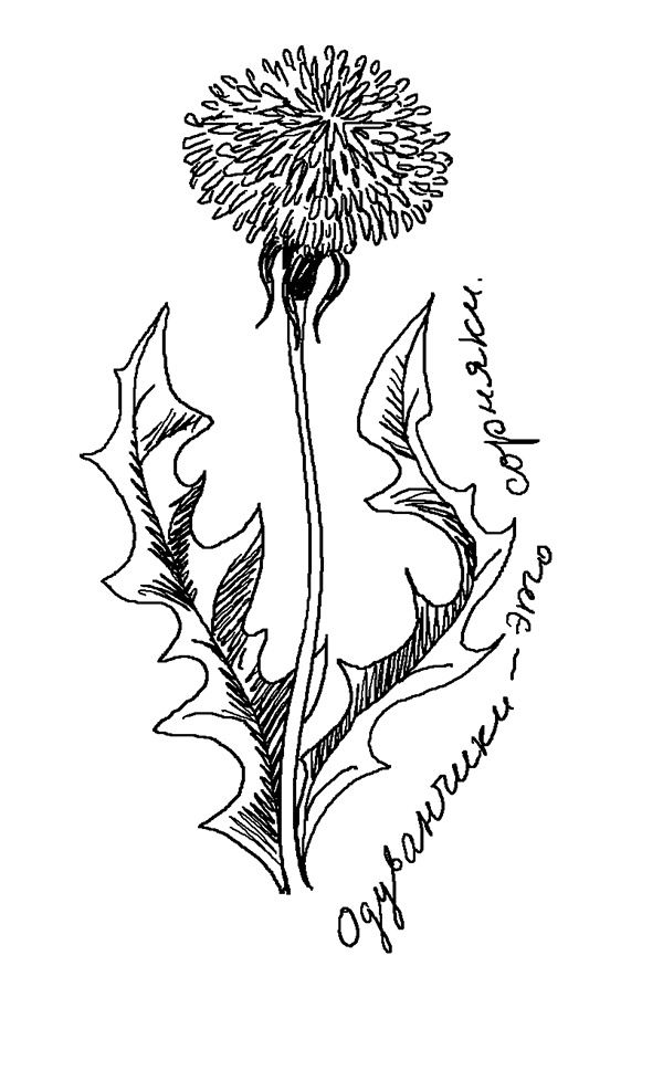 Иллюстрация к книге — Трейси Бикер - суперзвезда! [_21.jpg]