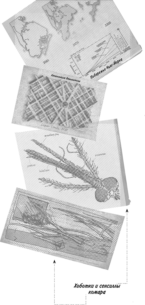 Иллюстрация к книге — Невероятное путешествие мистера Спивета [i_006.jpg]
