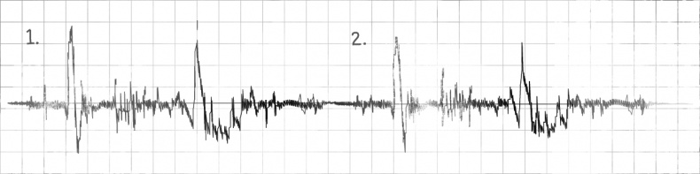 Иллюстрация к книге — Невероятное путешествие мистера Спивета [i_009.jpg]