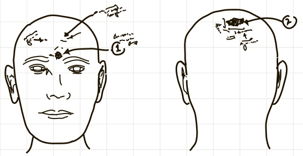 Иллюстрация к книге — Невероятное путешествие мистера Спивета [i_011.jpg]