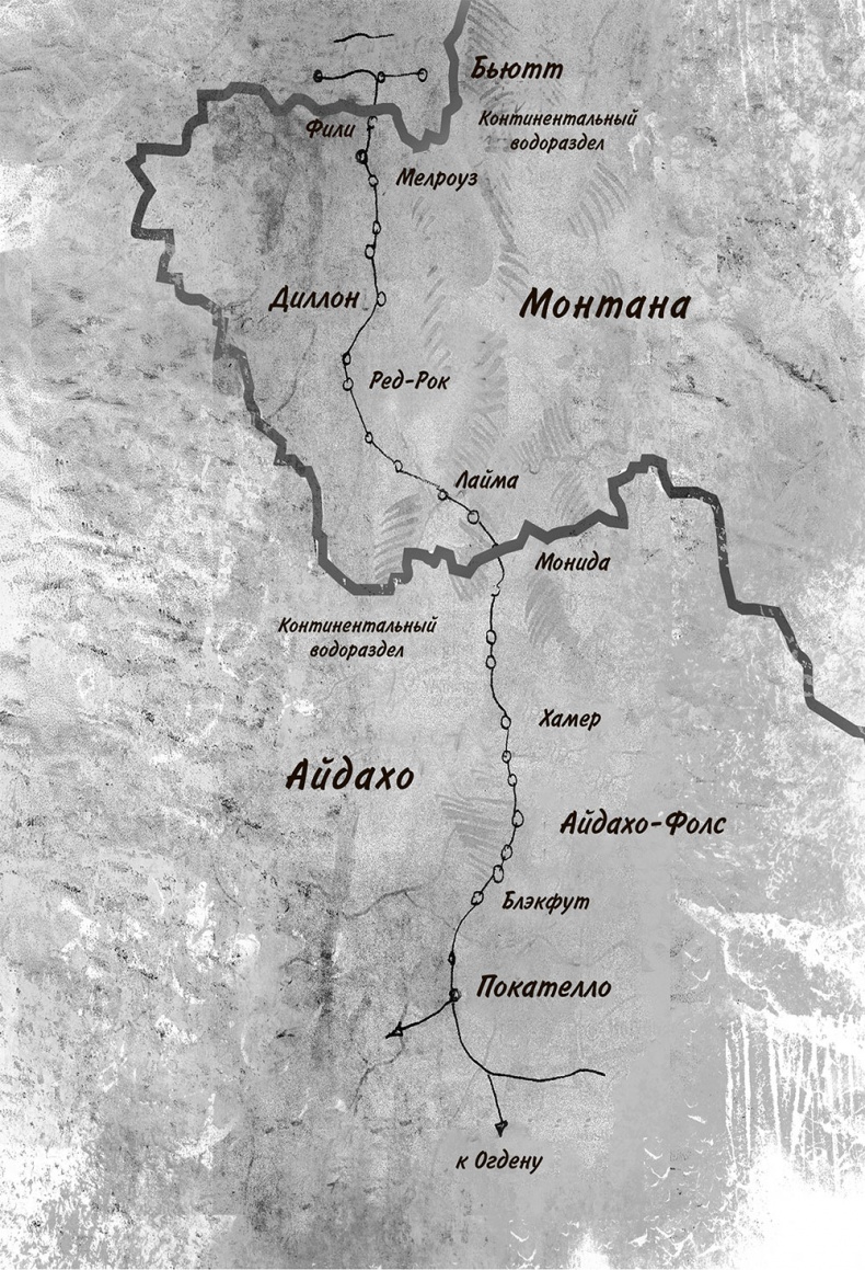 Иллюстрация к книге — Невероятное путешествие мистера Спивета [i_015.jpg]