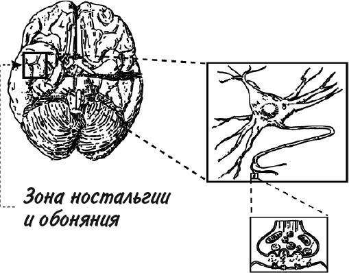 Иллюстрация к книге — Невероятное путешествие мистера Спивета [i_021.jpg]