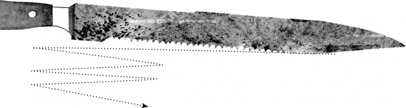 Иллюстрация к книге — Невероятное путешествие мистера Спивета [i_040.jpg]