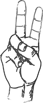 Иллюстрация к книге — Невероятное путешествие мистера Спивета [i_045.jpg]