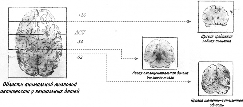 Иллюстрация к книге — Невероятное путешествие мистера Спивета [i_048.jpg]