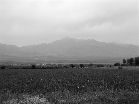 Иллюстрация к книге — Советский кишлак. Между колониализмом и модернизацией [i_104.jpg]