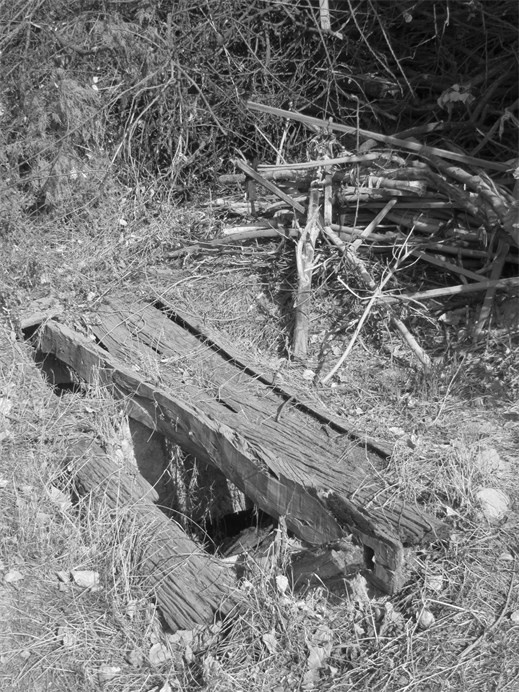 Иллюстрация к книге — Советский кишлак. Между колониализмом и модернизацией [i_106.jpg]