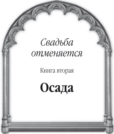 Иллюстрация к книге — Свадьба отменяется. Книга вторая. Осада [i_001.jpg]