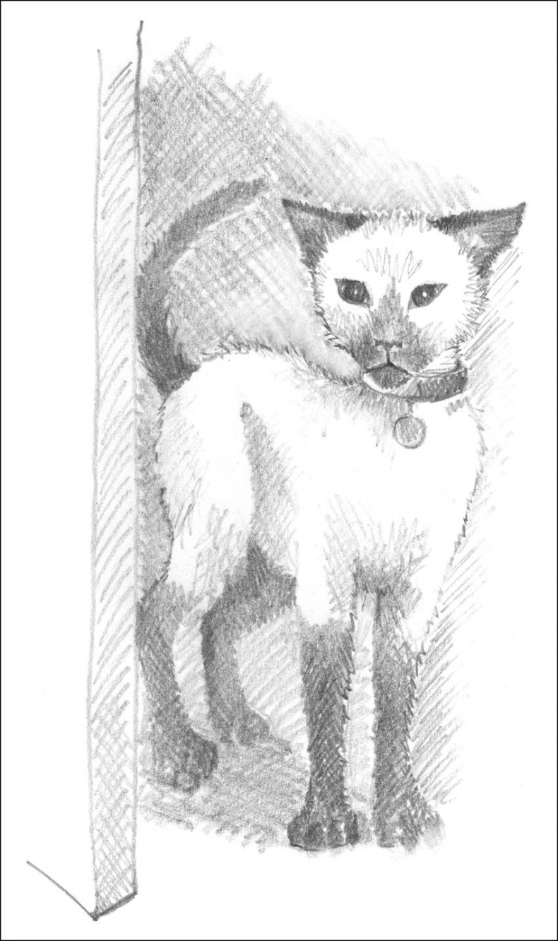 Иллюстрация к книге — Котенок Дымка, или Тайна домика на дереве [_019.jpg]