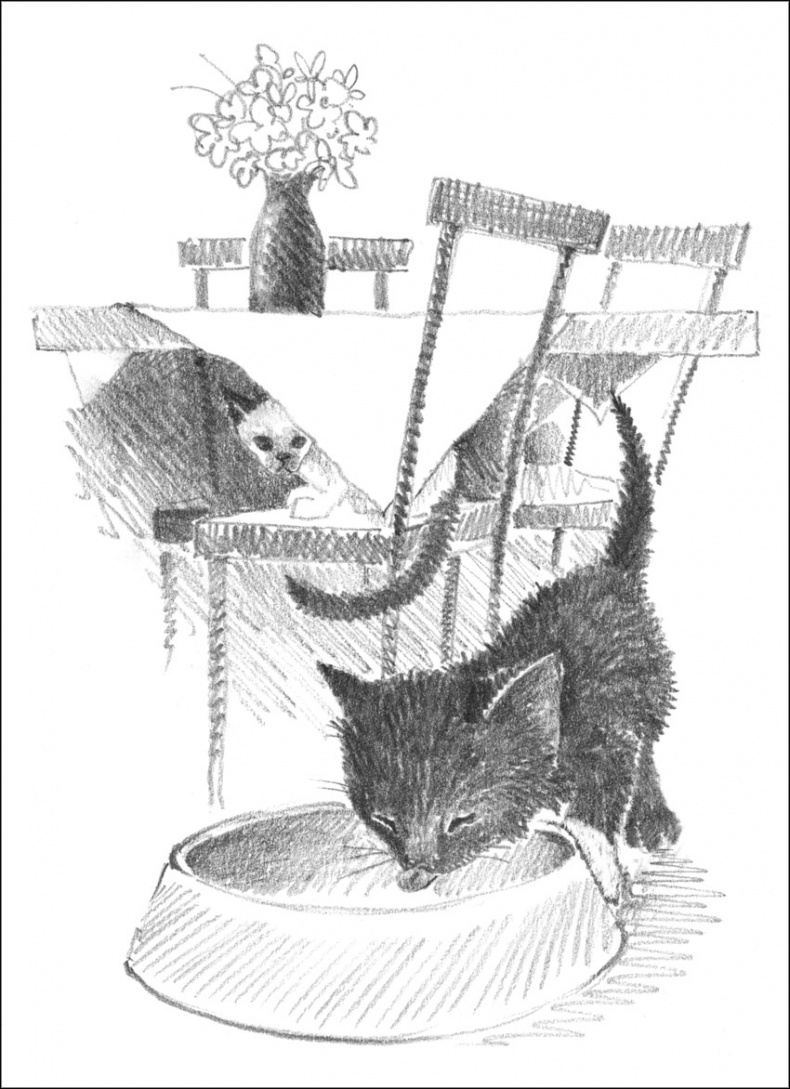 Иллюстрация к книге — Котенок Дымка, или Тайна домика на дереве [_030.jpg]
