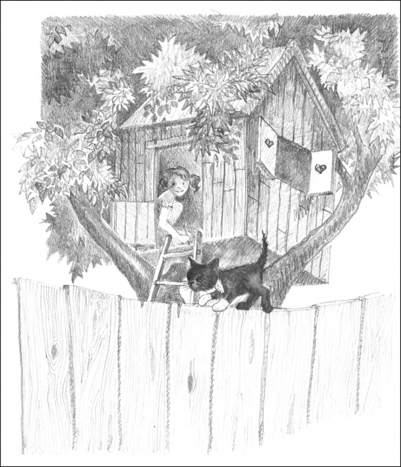 Иллюстрация к книге — Котенок Дымка, или Тайна домика на дереве [_047.jpg]