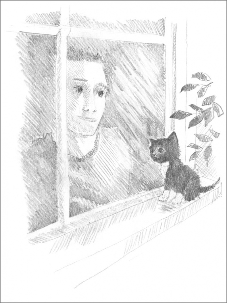 Иллюстрация к книге — Котенок Дымка, или Тайна домика на дереве [_077.jpg]