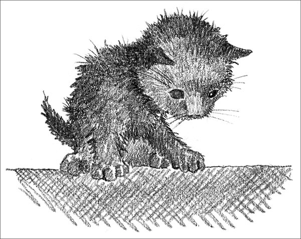 Иллюстрация к книге — Котёнок Усатик, или Отважное сердце [_073.jpg]