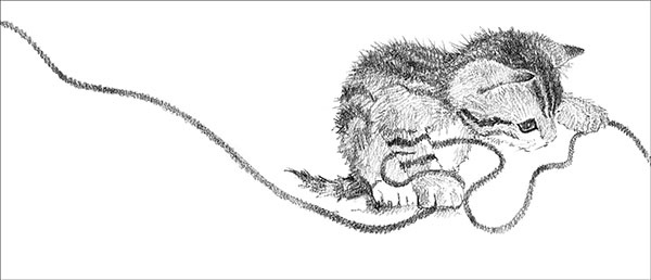 Иллюстрация к книге — Котёнок Усатик, или Отважное сердце [_078.jpg]