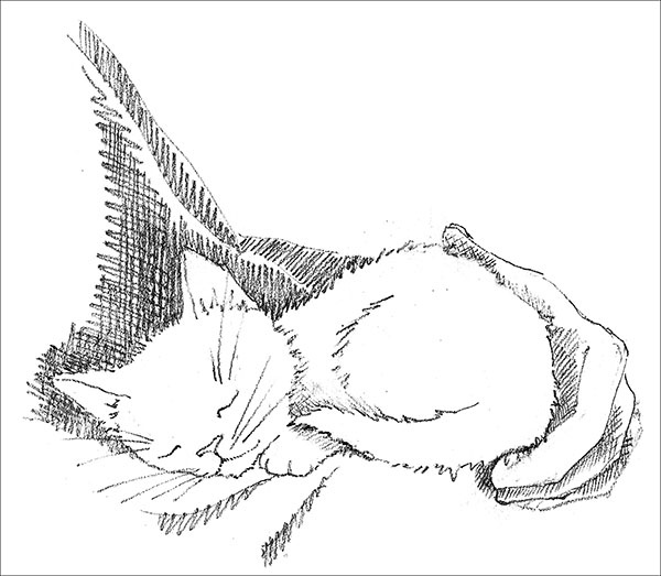 Иллюстрация к книге — Котёнок Усатик, или Отважное сердце [_099.jpg]