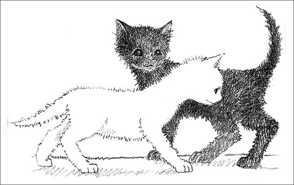 Иллюстрация к книге — Котёнок Усатик, или Отважное сердце [_104.jpg]