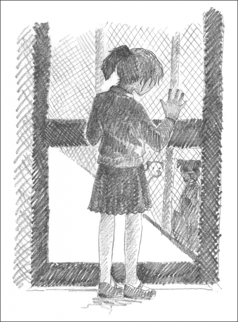 Иллюстрация к книге — Щенок Гарри, или Здравствуй, дом! [_027.jpg]