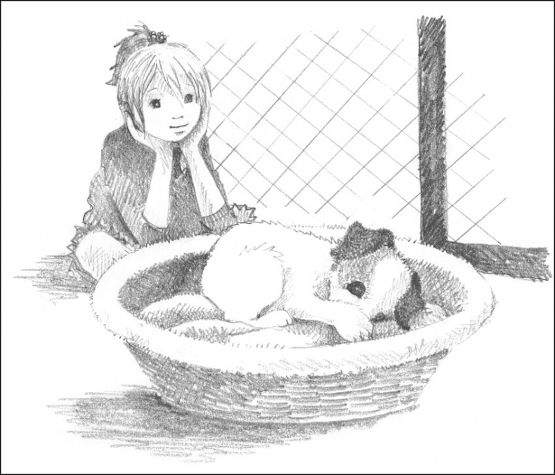 Иллюстрация к книге — Щенок Гарри, или Здравствуй, дом! [_034.jpg]