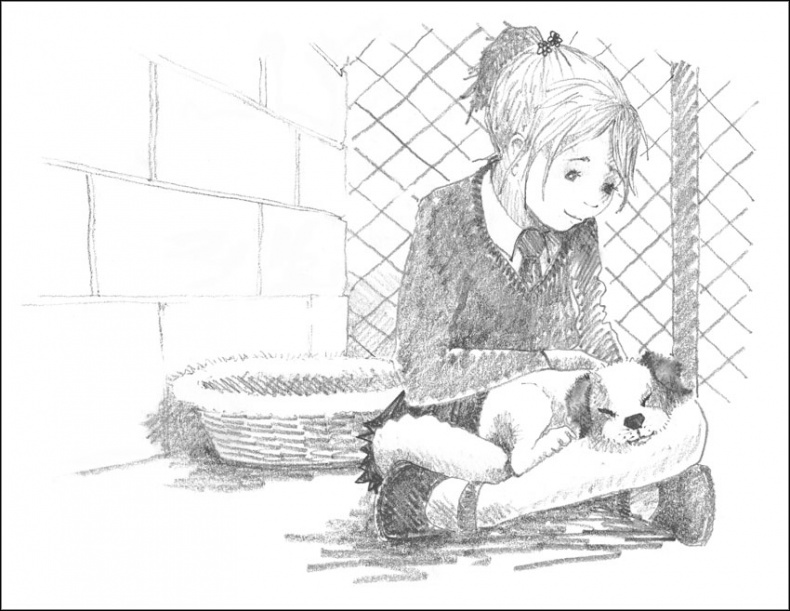 Иллюстрация к книге — Щенок Гарри, или Здравствуй, дом! [_038.jpg]